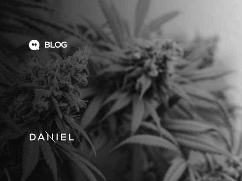 Cannabis in Brazil: a synopsis of current market